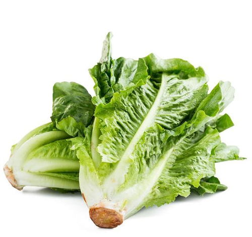 家長(zhǎng)們看過(guò)來(lái) 這四種食物給孩子吃，好消化更長(zhǎng)個(gè)