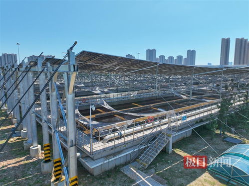 武漢黃家湖污水處理廠分布式光伏項目并網(wǎng)發(fā)電，每天可發(fā)電近2萬度