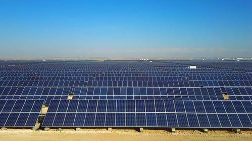 光伏行情趨熱回暖，專家提醒 產(chǎn)業(yè)發(fā)展需理性，技術(shù)創(chuàng)新是核心