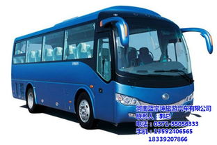 新鄭汽車租賃市場(chǎng)崛起 藍(lán)宇坤旅游汽車以高清大圖展示專業(yè)服務(wù)